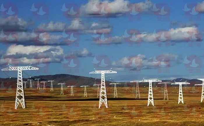 電力行業使用雙鳥電動葫蘆